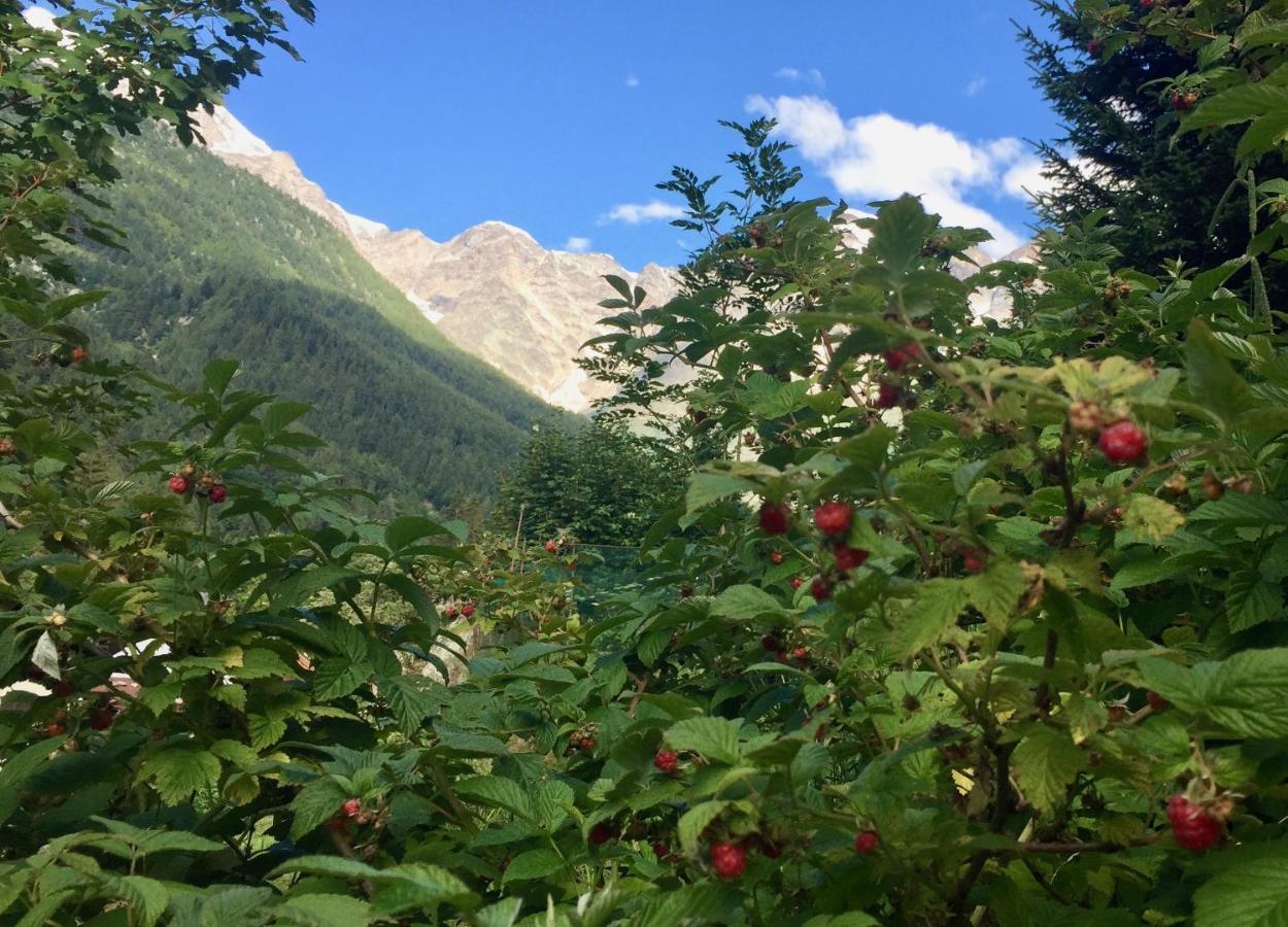 Appartamento Casa Weisstor Con Patio, Giardino E Orti Vista Monte Rosa Macugnaga Exteriér fotografie